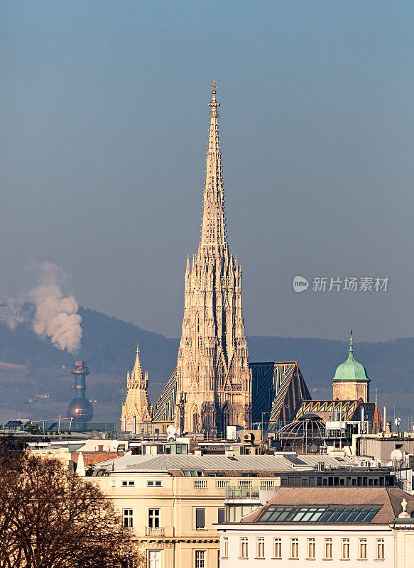 Stephansdom -圣斯蒂芬大教堂，维也纳，奥地利